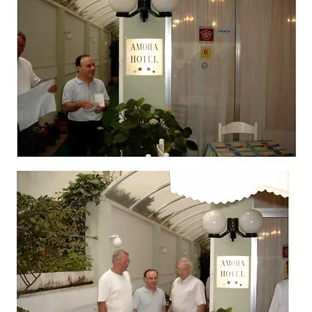 Amoha 호텔